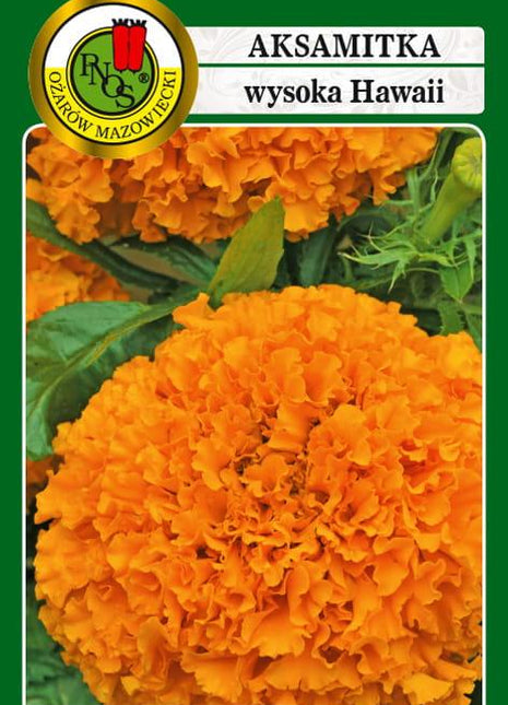 Nasiona - AKSAMITKA PEŁNA WYSOKA HAWAII POMARAŃCZOWA 1g - Niezłe Ziółko