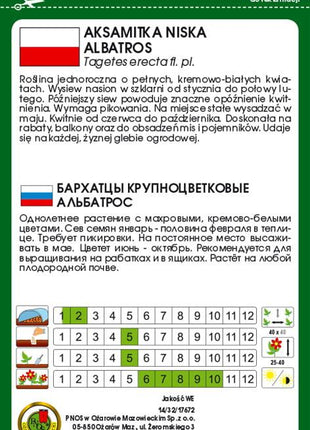 Nasiona - AKSAMITKA WIELKOKWIATOWA NISKA ALBATROS KREMOWOBIAŁA 0,5g - Niezłe Ziółko