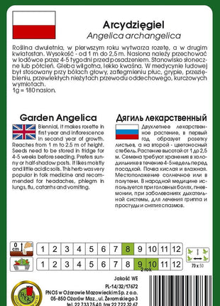 Nasiona - ARCYDZIĘGIEL 0,3g - Niezłe Ziółko