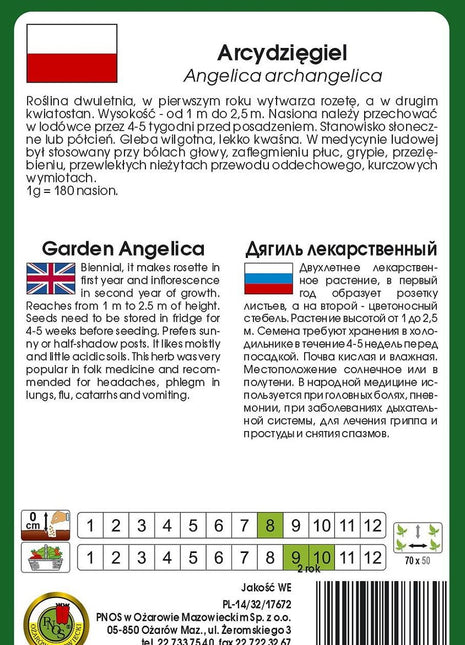 Nasiona - ARCYDZIĘGIEL 0,3g - Niezłe Ziółko