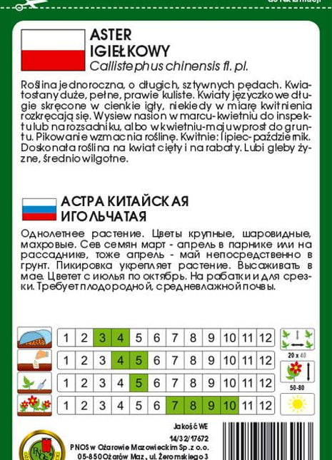 Nasiona - ASTER IGIEŁKOWY CZERWONOŁOSOSIOWY 0,8g - Niezłe Ziółko