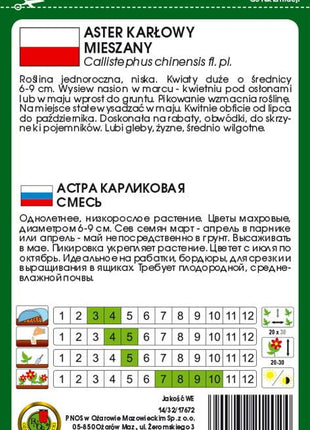 Nasiona - ASTER KARŁOWY MIESZANY 0,8g - Niezłe Ziółko