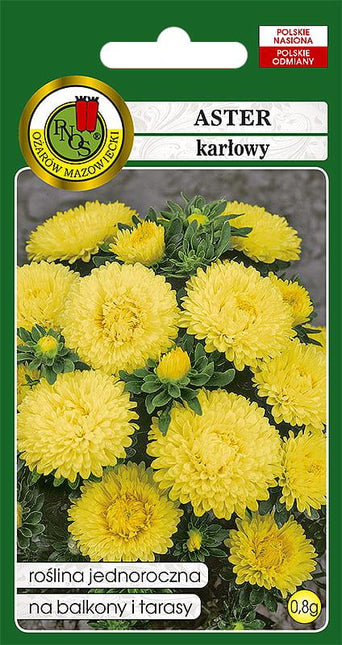 Nasiona - ASTER KARŁOWY ŻÓŁTY 0,8g - Niezłe Ziółko