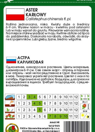 Nasiona - ASTER KARŁOWY ŻÓŁTY 0,8g - Niezłe Ziółko