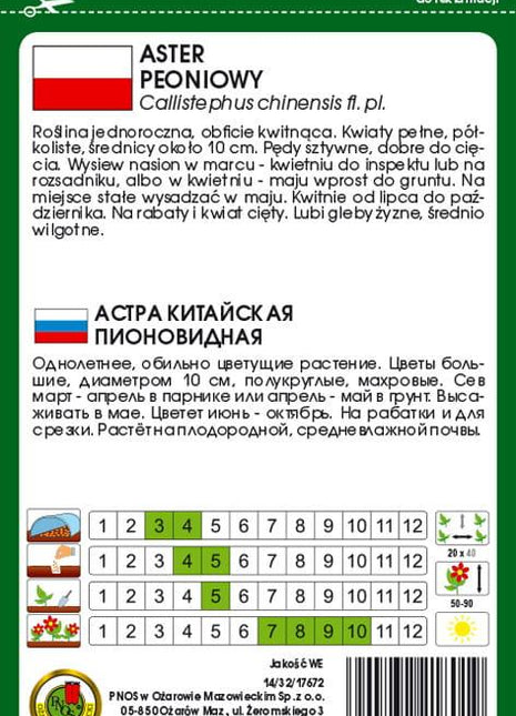 Nasiona - ASTER PEONIOWY BIAŁY 0,8g - Niezłe Ziółko