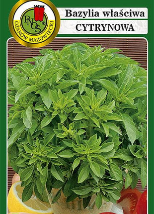 Nasiona - BAZYLIA WŁAŚCIWA CYTRYNOWA 0,5g - Niezłe Ziółko