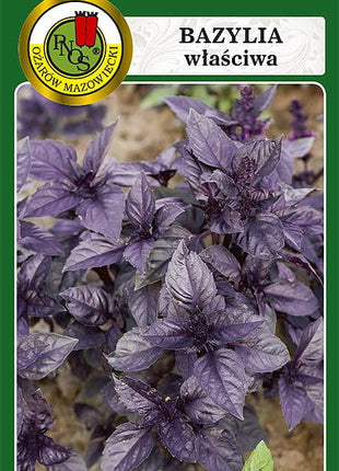 Nasiona - BAZYLIA WŁAŚCIWA CZERWONA 0,3g - Niezłe Ziółko