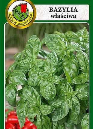 Nasiona - BAZYLIA WŁAŚCIWA ZIELONA GENOVESE 1g - Niezłe Ziółko