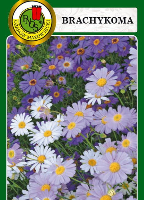 Nasiona - BRACHYKOMA MIESZANA 0,3g - Niezłe Ziółko