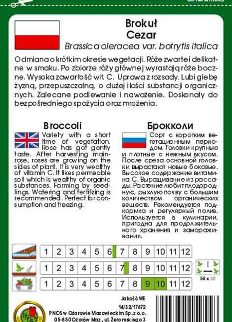 Nasiona - BROKUŁ CEZAR 2g - Niezłe Ziółko
