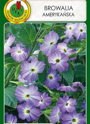 Nasiona - BROWALIA AMERYKAŃSKA NIEBIESKA 0,2g - Niezłe Ziółko