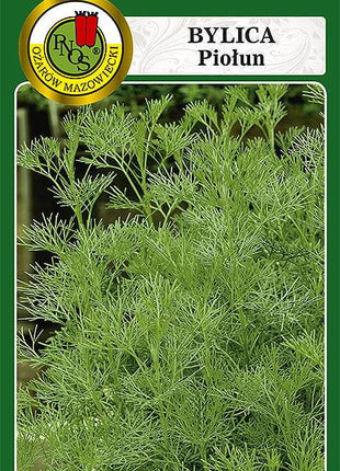 Nasiona - BYLICA - PIOŁUN 0,3g - Niezłe Ziółko