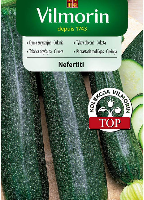 Nasiona - CUKINIA ZIELONA NEFERTITI 3G - Niezłe Ziółko