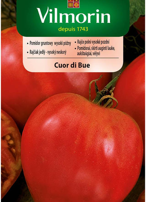 Nasiona - CUOR DI BUE POMIDOR W TYPIE BAWOLE SERCE 0,2G - Niezłe Ziółko