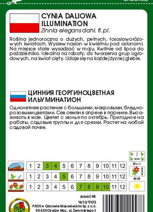 Nasiona - CYNIA DALIOWA ILLUMINATION RÓŻOWA 1g - Niezłe Ziółko