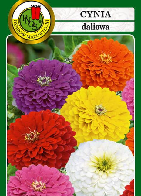 Nasiona - CYNIA DALIOWA MIESZANA 1g - Niezłe Ziółko