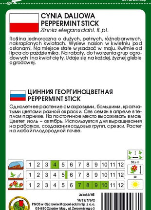 Nasiona - CYNIA DALIOWA PEPPERMINT STICK MIESZANKA 1g - Niezłe Ziółko