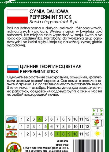 Nasiona - CYNIA DALIOWA PEPPERMINT STICK MIESZANKA 1g - Niezłe Ziółko