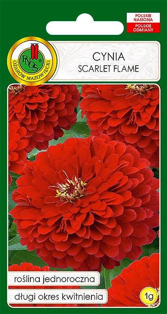 Nasiona - CYNIA DALIOWA SCARLET FLAME CZERWONA 1g - Niezłe Ziółko