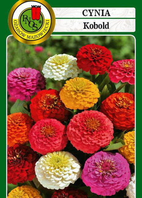 Nasiona - CYNIA KOBOLD MIESZANA 1g - Niezłe Ziółko