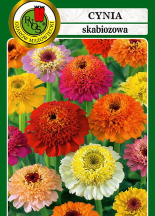 Nasiona - CYNIA SKABIOZOWA MIESZANA 1g - Niezłe Ziółko