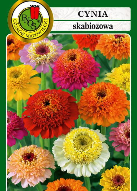 Nasiona - CYNIA SKABIOZOWA MIESZANA 1g - Niezłe Ziółko