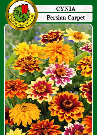 Nasiona - CYNIA WĄSKOLISTNA PERSIAN CARPET MIESZANA 1g - Niezłe Ziółko