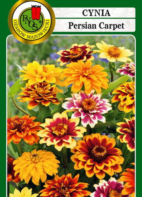 Nasiona - CYNIA WĄSKOLISTNA PERSIAN CARPET MIESZANA 1g - Niezłe Ziółko