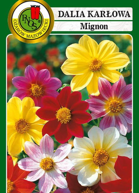 Nasiona - DALIA POJEDYNCZA MIGNON MIESZANA 1g - Niezłe Ziółko