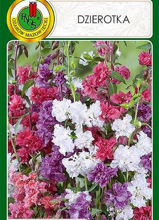 Nasiona - DZIEROTKA MIESZANA 1g - Niezłe Ziółko
