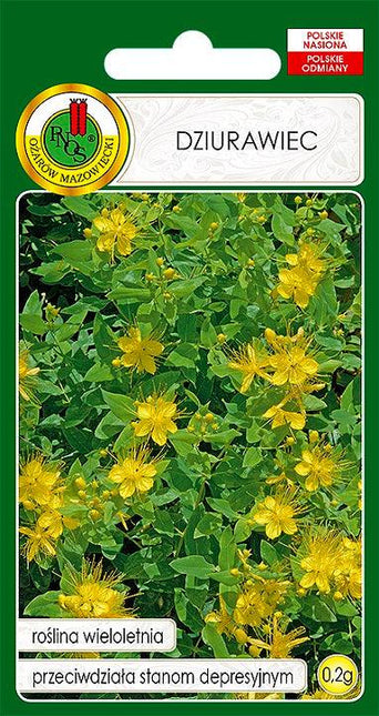 Nasiona - DZIURAWIEC 0,2g - Niezłe Ziółko