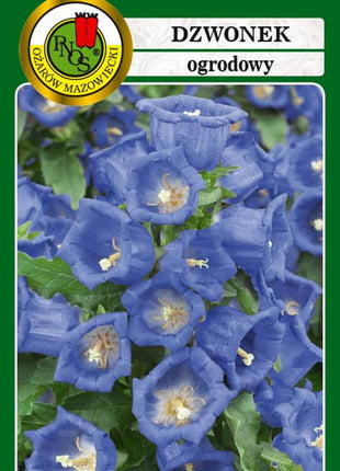 Nasiona - DZWONEK OGRODOWY NIEBIESKI 1g - Niezłe Ziółko
