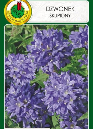 Nasiona - DZWONEK SKUPIONY FIOLETOWONIEBIESKI 0,1g - Niezłe Ziółko