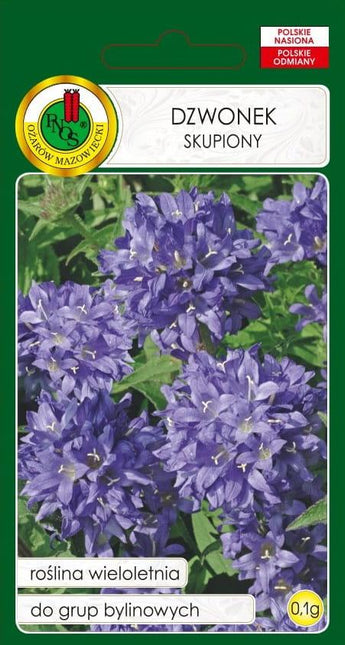 Nasiona - DZWONEK SKUPIONY FIOLETOWONIEBIESKI 0,1g - Niezłe Ziółko