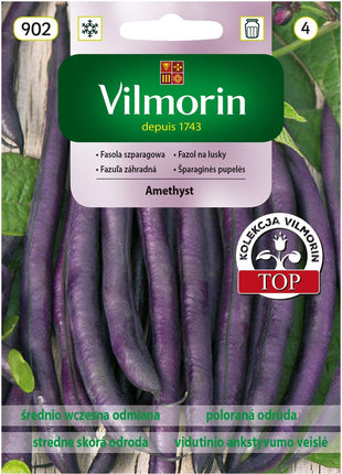 Nasiona - FASOLA SZPARAGOWA FIOLETOWA AMETHYST 30G - Niezłe Ziółko