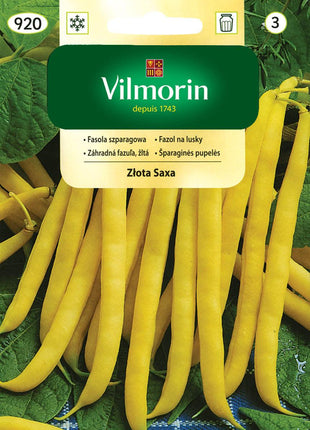 Nasiona - FASOLA SZPARAGOWA ŻÓŁTA ZŁOTA SAXA 30G - Niezłe Ziółko