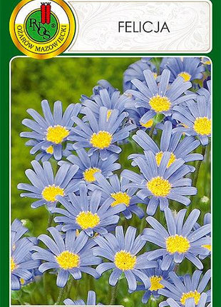 Nasiona - FELICJA NIEBIESKA 0,2g - Niezłe Ziółko