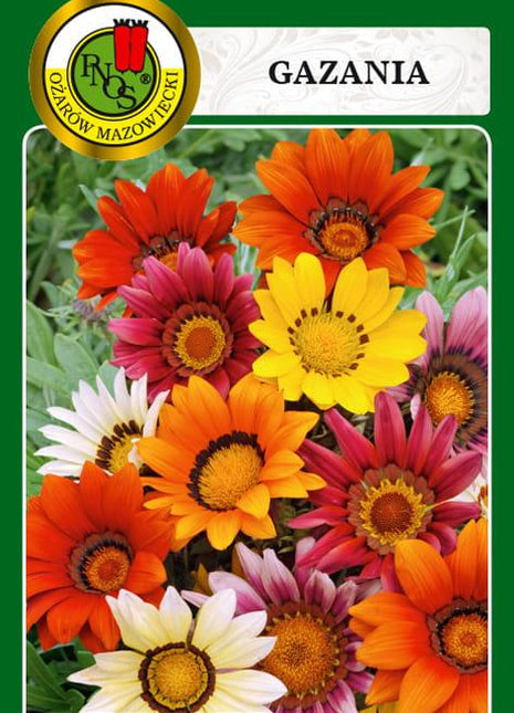 Nasiona - GAZANIA MIESZANA 0,8g - Niezłe Ziółko