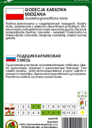 Nasiona - GODECJA KARŁOWA MIESZANA 1g - Niezłe Ziółko