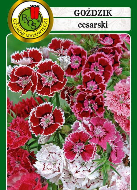 Nasiona - GOŹDZIK CESARSKI MIESZANY 1g - Niezłe Ziółko