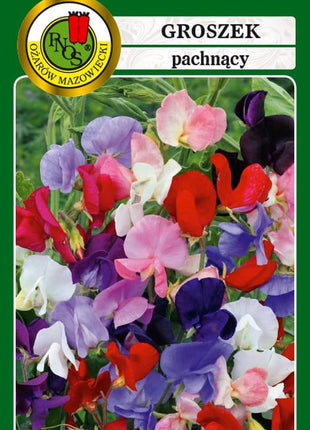 Nasiona - GROSZEK PACHNĄCY MIESZANY 1,5g - Niezłe Ziółko