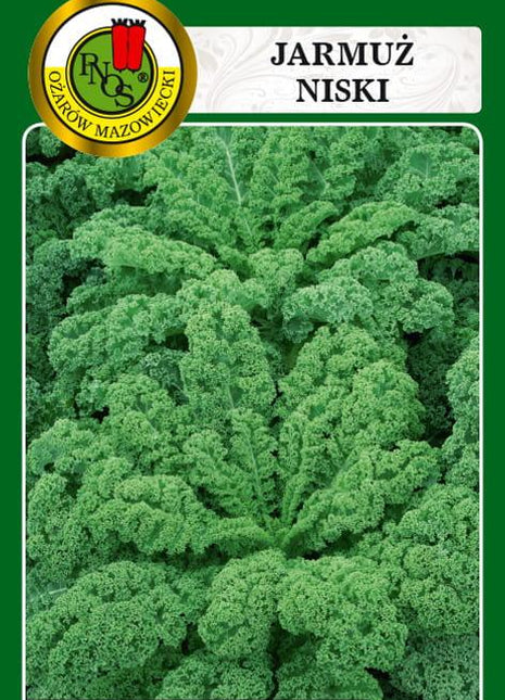 Nasiona - JARMUŻ NISKI DWARF GREEN CURLED 5g - Niezłe Ziółko
