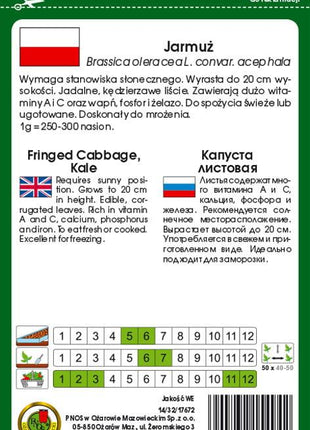 Nasiona - JARMUŻ NISKI DWARF GREEN CURLED 5g - Niezłe Ziółko