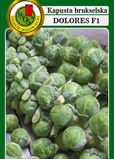 Nasiona - KAPUSTA BRUKSELSKA DOLORES F1 0,5g - Niezłe Ziółko