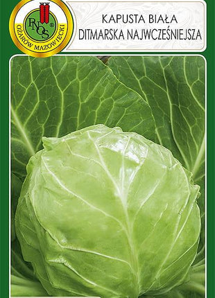 Nasiona - KAPUSTA GŁOWIASTA BIAŁA DITMARSKA NAJWCZEŚNIEJSZA 2g - Niezłe Ziółko