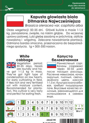 Nasiona - KAPUSTA GŁOWIASTA BIAŁA DITMARSKA NAJWCZEŚNIEJSZA 2g - Niezłe Ziółko