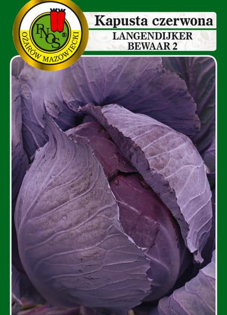 Nasiona - KAPUSTA GŁOWIASTA CZERWONA LANGEDIJKER BEWAAR 2g - Niezłe Ziółko