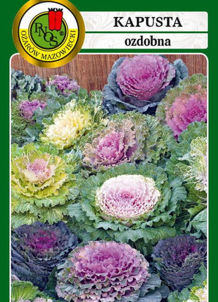 Nasiona - KAPUSTA OZDOBNA MIESZANA 0,3g - Niezłe Ziółko