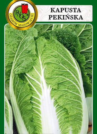 Nasiona - KAPUSTA PEKIŃSKA CAPITOL F1 0,5g - Niezłe Ziółko
