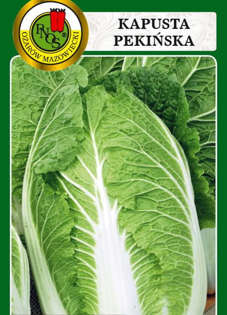 Nasiona - KAPUSTA PEKIŃSKA CAPITOL F1 0,5g - Niezłe Ziółko